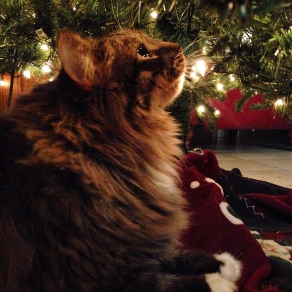 Meet your Posher, Jenifer - Picture 1 of 1